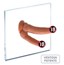 Consolo Dildo DP Dupla Penetração Prótese Peniana Com Ventosa Dois Pênis Pinto Sex Shop